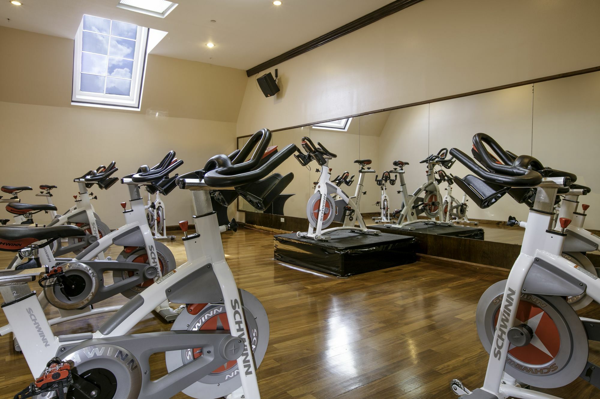 فندق بارسيلو سان سلفادور المظهر الخارجي الصورة The gym at the hotel